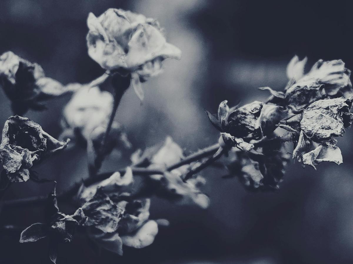 An Act of&nbsp;Kindness